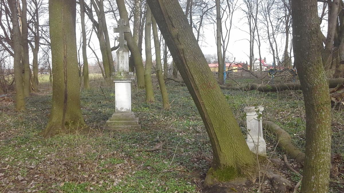 Wikipedia, Orthodox cemetery in Wereszyn, Self-published work