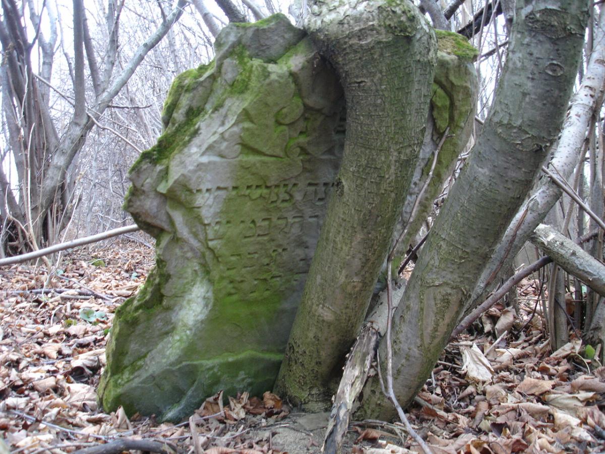 Wikipedia, Jewish cemetery in Nowotaniec, Self-published work