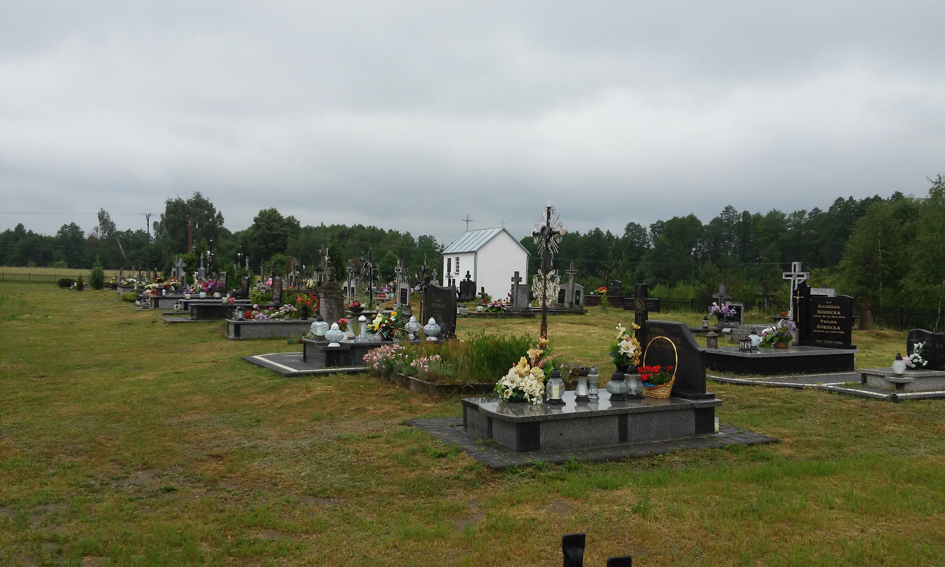 Wikipedia, Cemetery in Krzyczew, Self-published work