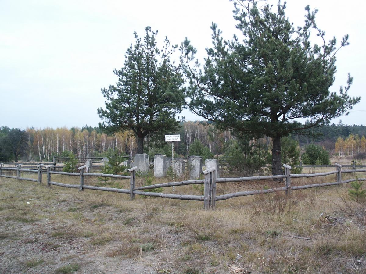 Wikipedia, Jewish Cemetery in Zwierzyniec, Self-published work