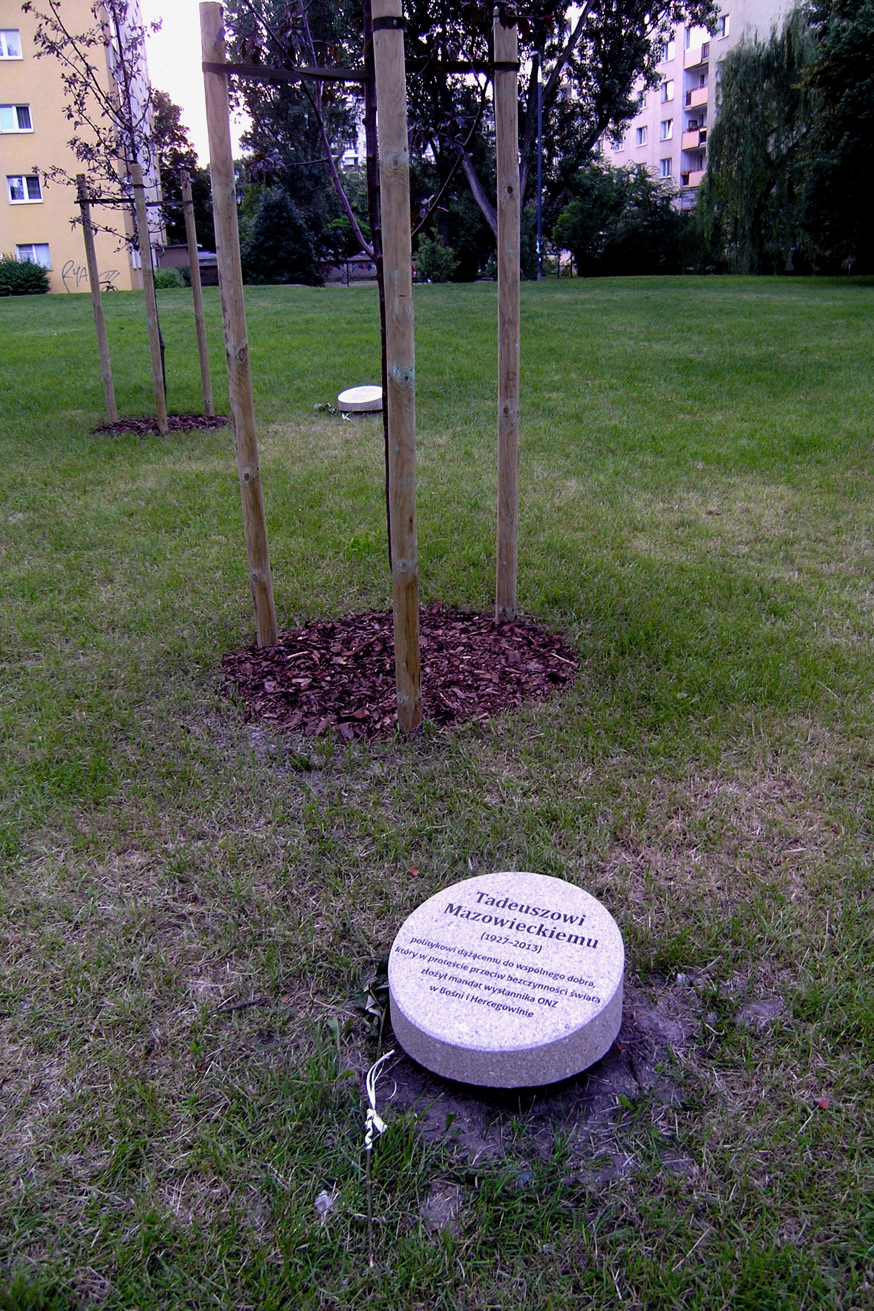Wikipedia, Righteous Garden in Warsaw, Self-published work, Tadeusz Mazowiecki